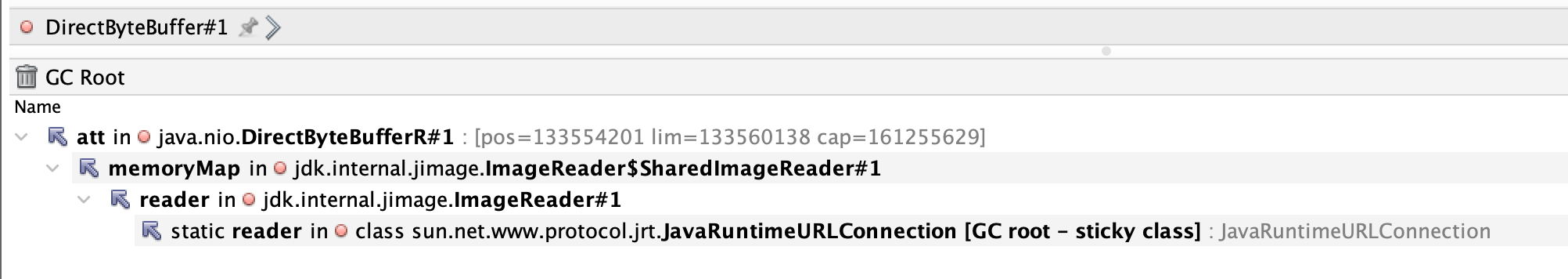 screenshot showing JImage ImageReader DirectByteBuffer allocations.