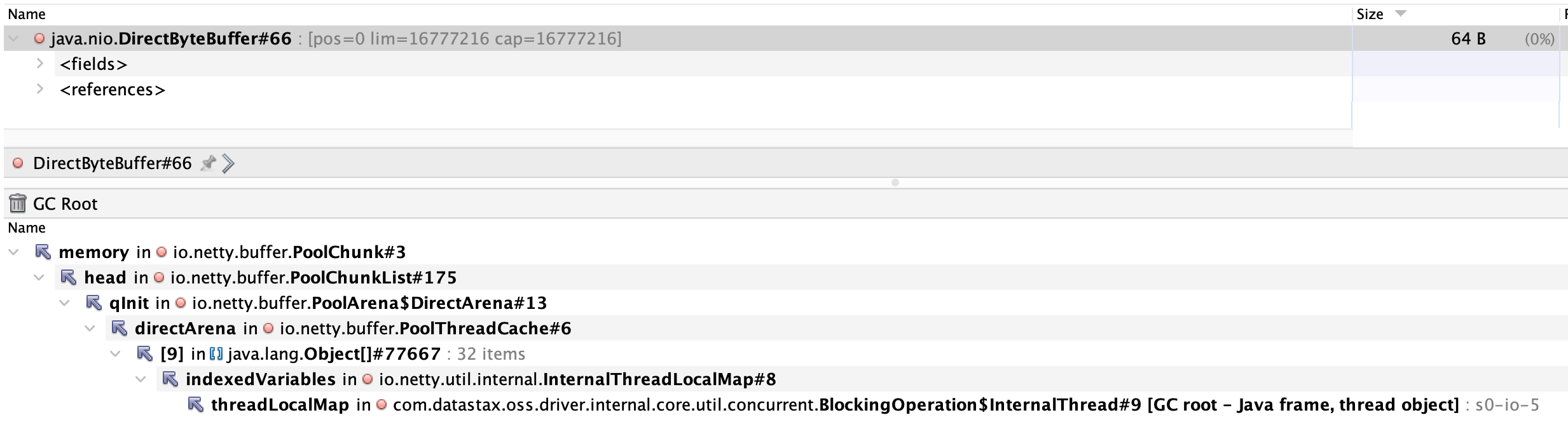 screenshot showing io.netty:netty-buffer PooledByteBufAllocator allocations.